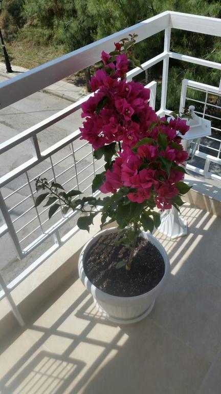 Grcka-Reni Greece Beach Nea Kallikrateia Экстерьер фото
